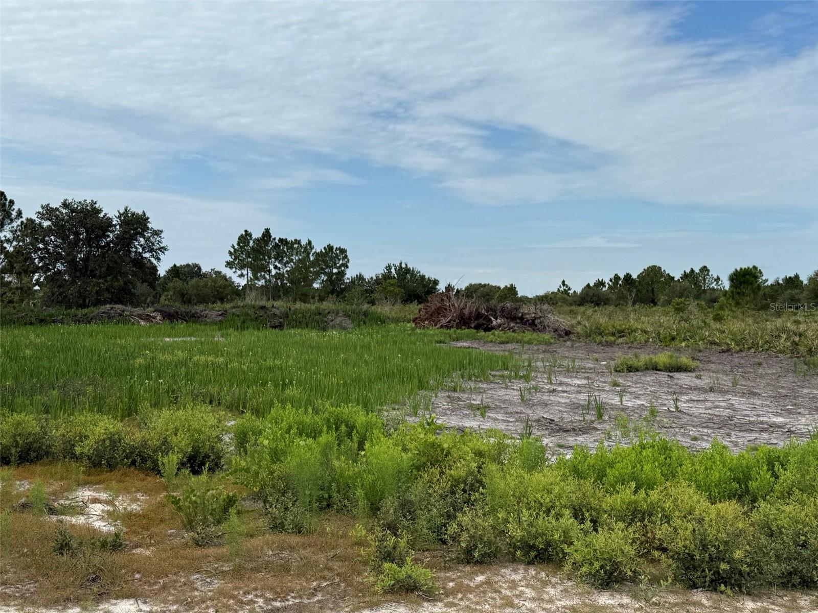 16814 NW 296TH STREET