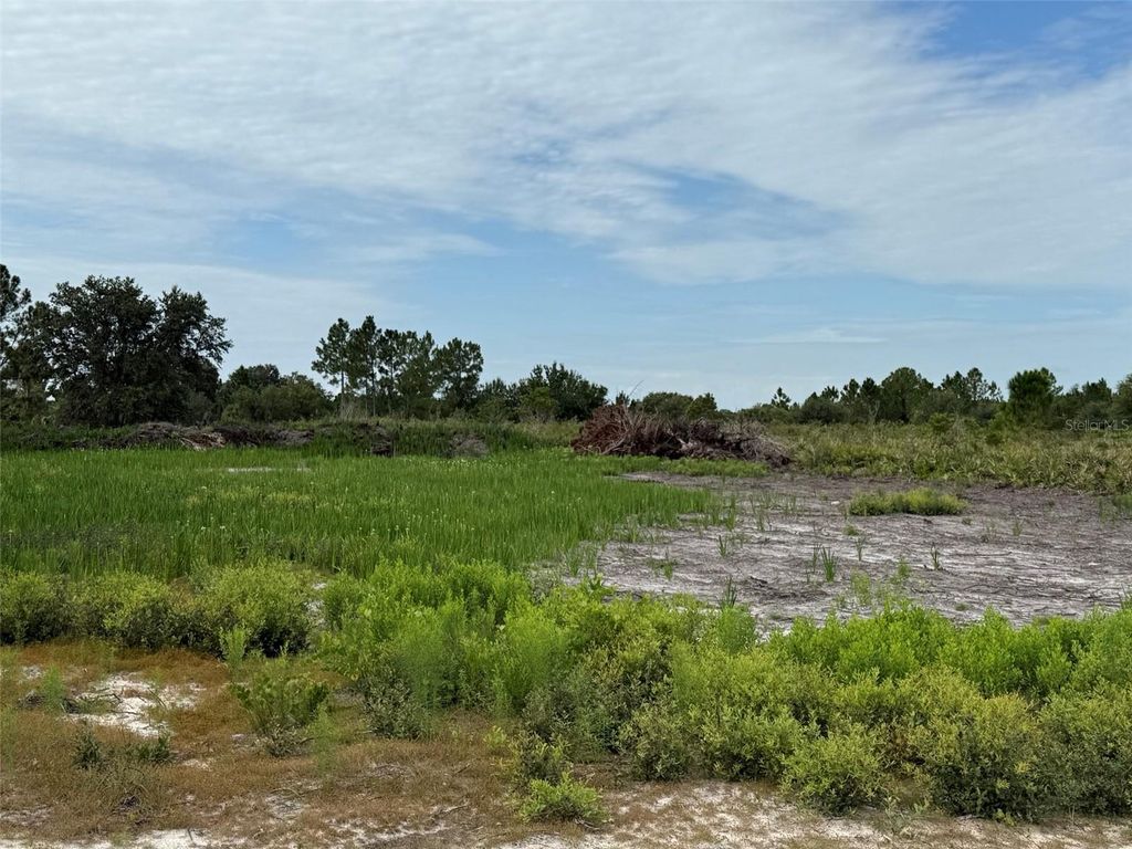 Photo of 16814 NW 296th Street, Okeechobee, FL 34972 (MLS # K4903380)