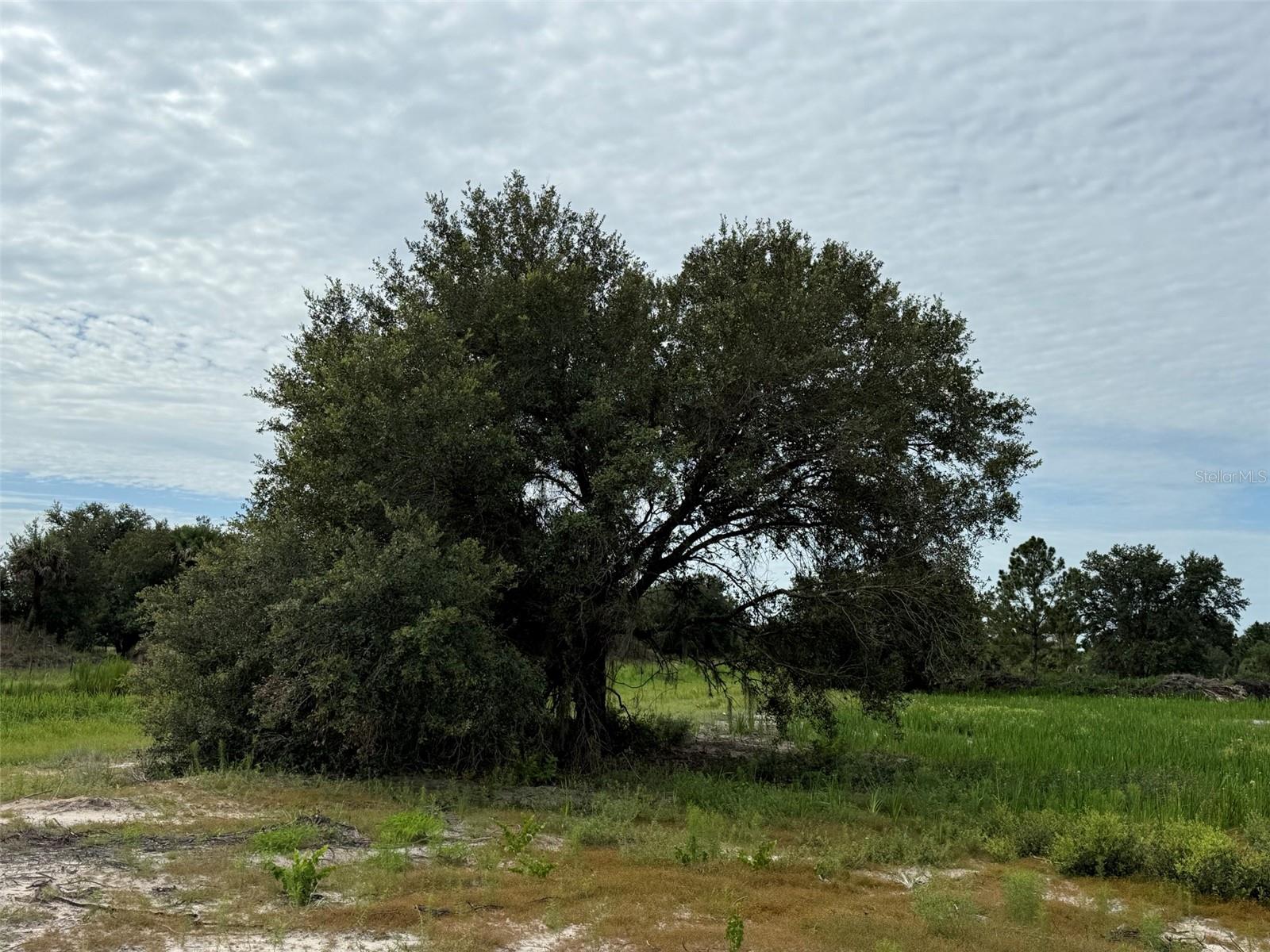 16814 NW 296TH STREET