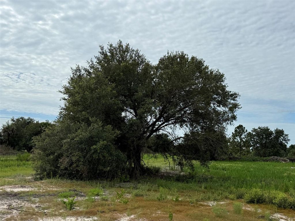 Photo of 16814 NW 296th Street, Okeechobee, FL 34972 (MLS # K4903380)