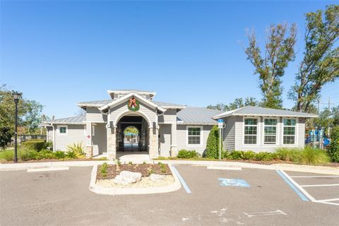 A home in RIVERVIEW