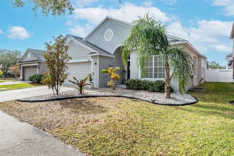 A home in RIVERVIEW