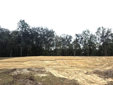 Photo of 525 SW Bellflower Drive, Lake City, FL 32024 (MLS # GC536730)