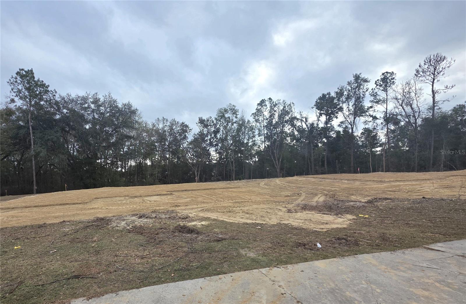 PRESERVE/LAUREL LAKE - Residential