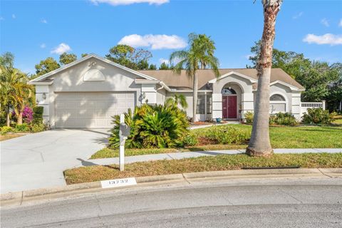 Photo of 13732 Triumph Court, Hudson, FL 34667 (MLS # TB8464357)