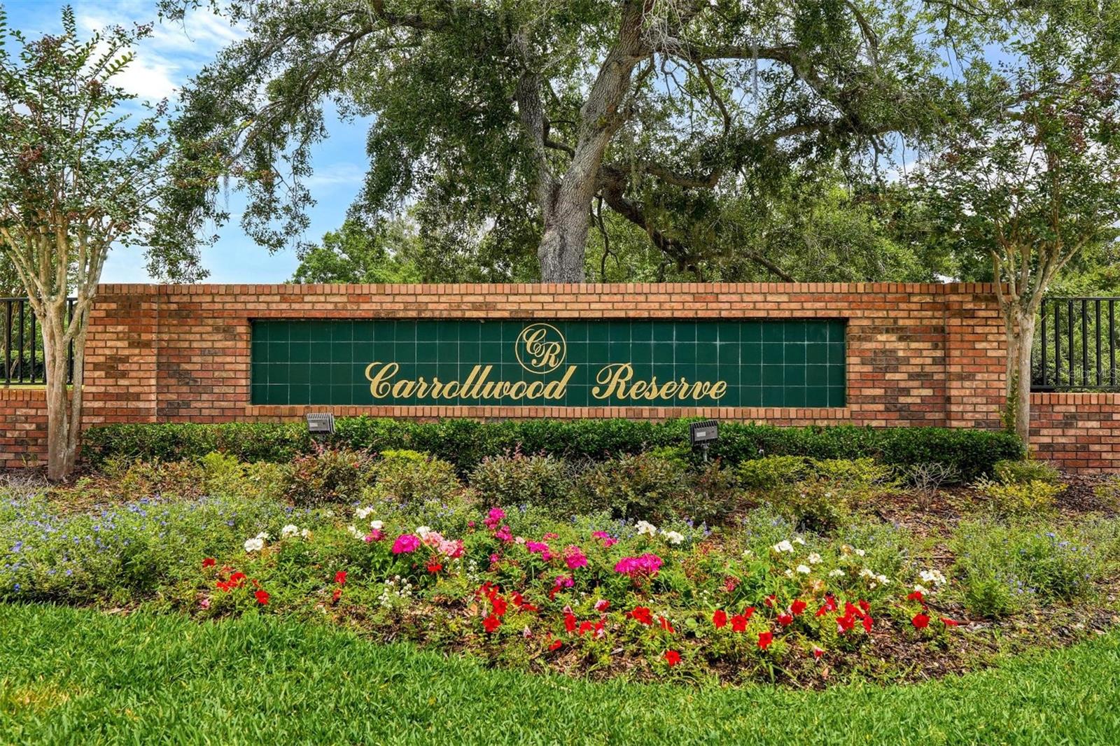 CARROLLWOOD RESERVE - Residential