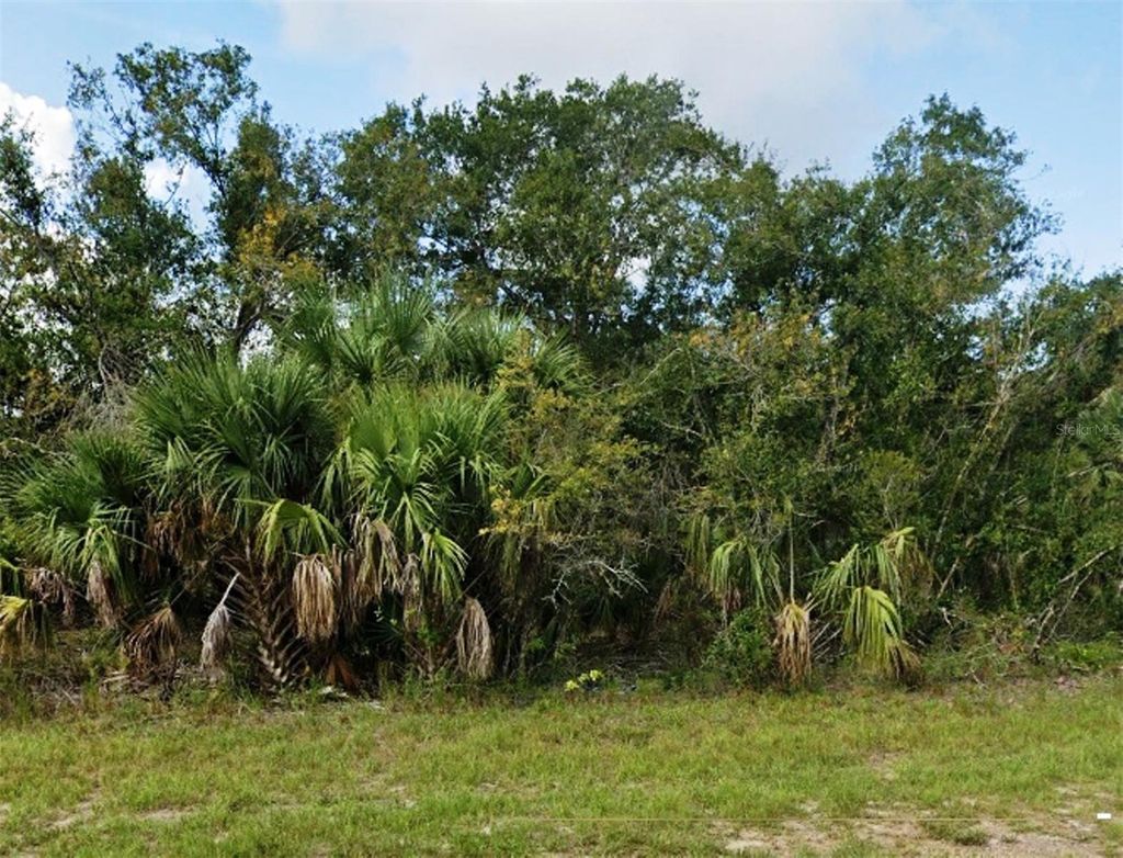 Photo of 27159 San Pablo Drive, Punta Gorda, FL 33955 (MLS # N6143503)