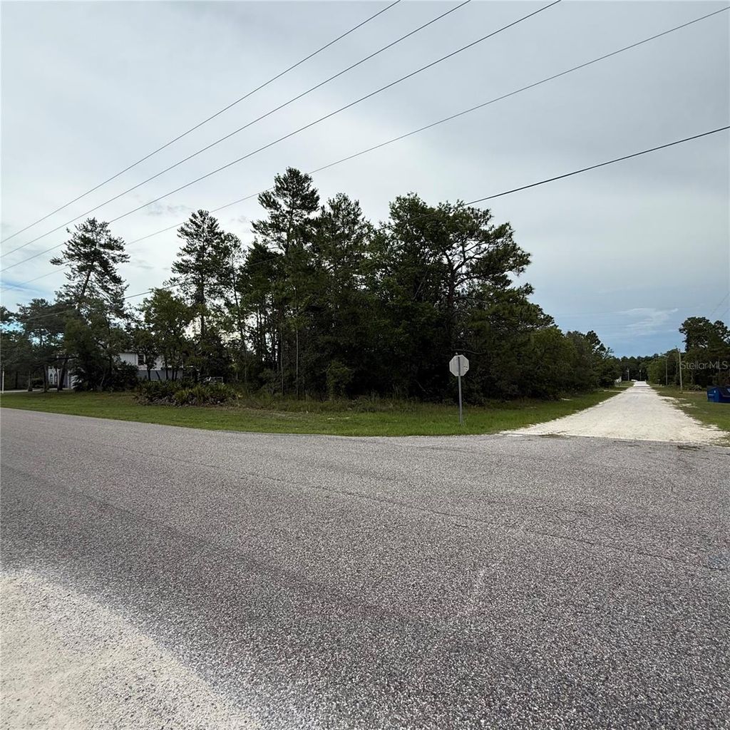 Photo of 11200 Marvelwood Road, Weeki Wachee, FL 34614 (MLS # TB8393907)