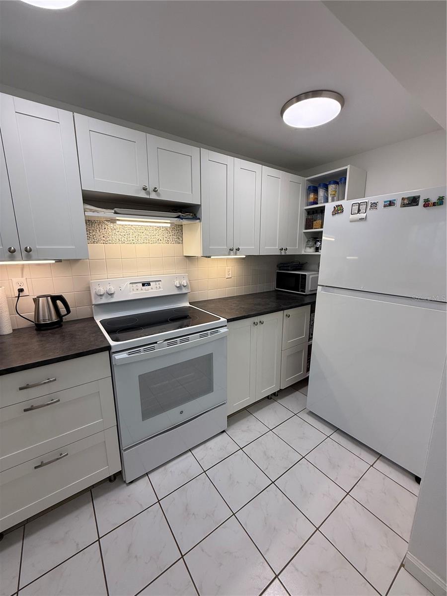 1243 S MARTIN LUTHER KING JR AVENUE C303