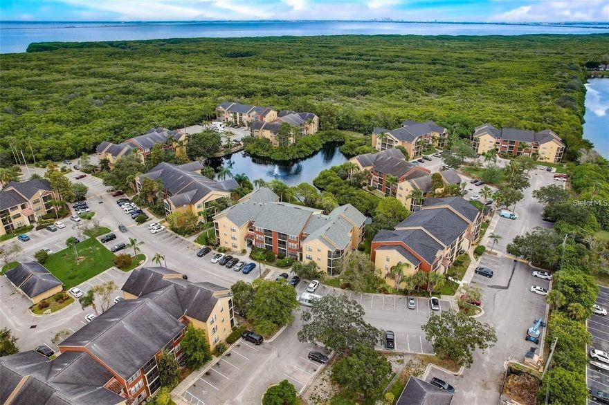 Welcome to paradise! BayPointe Preserve Condos is nestled in a gated community with 12.8 acre preserve yet conveniently located on 4th Street North in the Gateway area. This gorgeous condo is a One bedroom, and One bathroom fully furnished, and everything included with white beveled kitchen cabinets, granite countertops, stainless steel appliances, living area has sofa sleeper and master bedroom has king size bed with huge walk in closet and full-size front load washer & dryer. High ceilings and luxury vinyl plank floors throughout. Located on the 1st floor with covered screened - in patio & storage room. Rent Includes: Electricity, Cable TV, Internet, Water & Sewer and Trash Collection. Min lease is 3 months. Pets are welcomed. BayPointe Preserve is a resort style community with a clubhouse, fitness center, swimming pool & spa, cabanas, outside lounge area overlooking the lakes, outdoor picnic tables & grills, covered bike rack areas, and car wash. Perfectly located between the Howard Frankland Bridge and the Gandy Bridge on 4th St. N. with easy access to shopping, restaurants, 275, Downtown St. Pete, MacDill AFB and our beautiful beaches