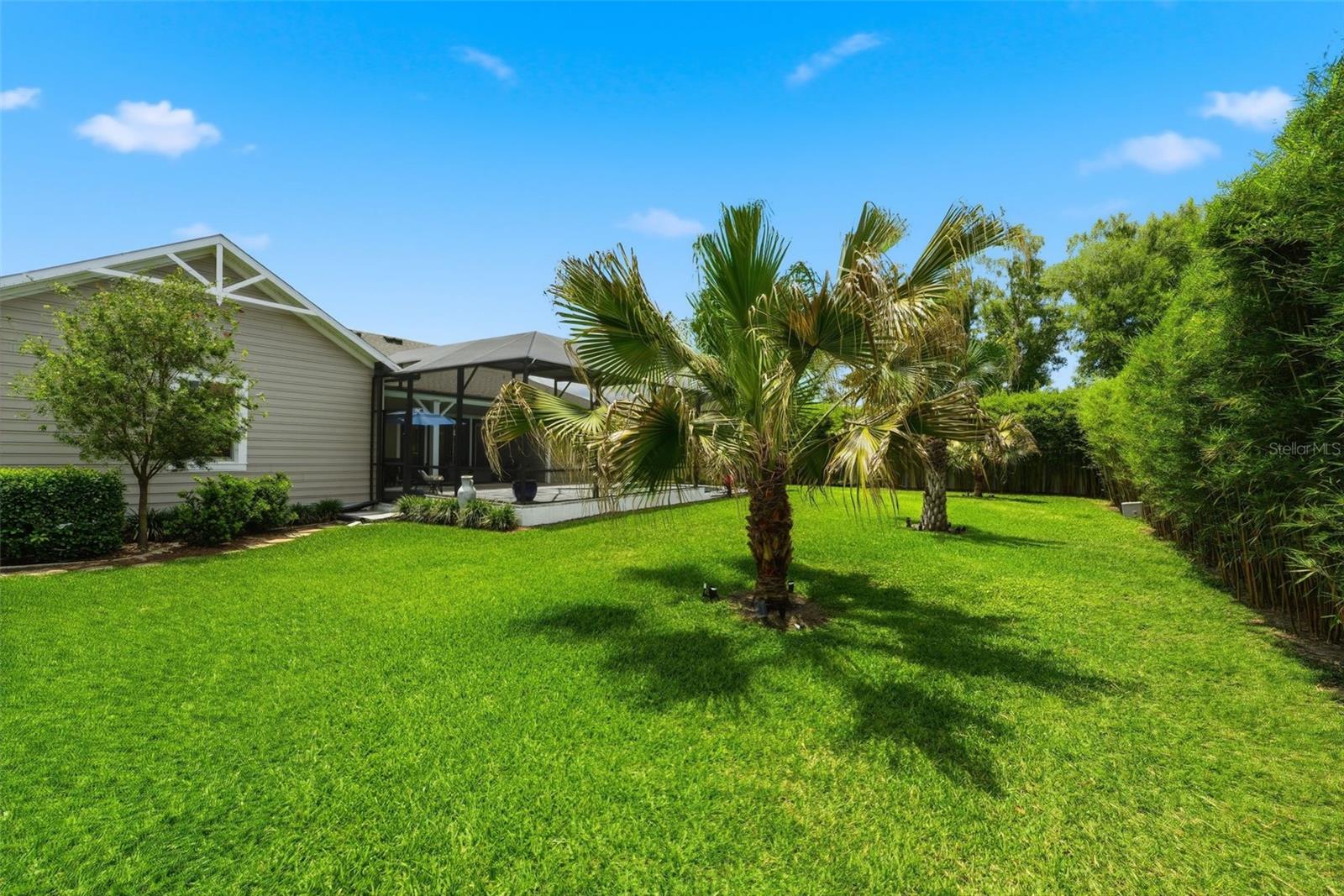 WOODS OF LAKE HELEN - Residential