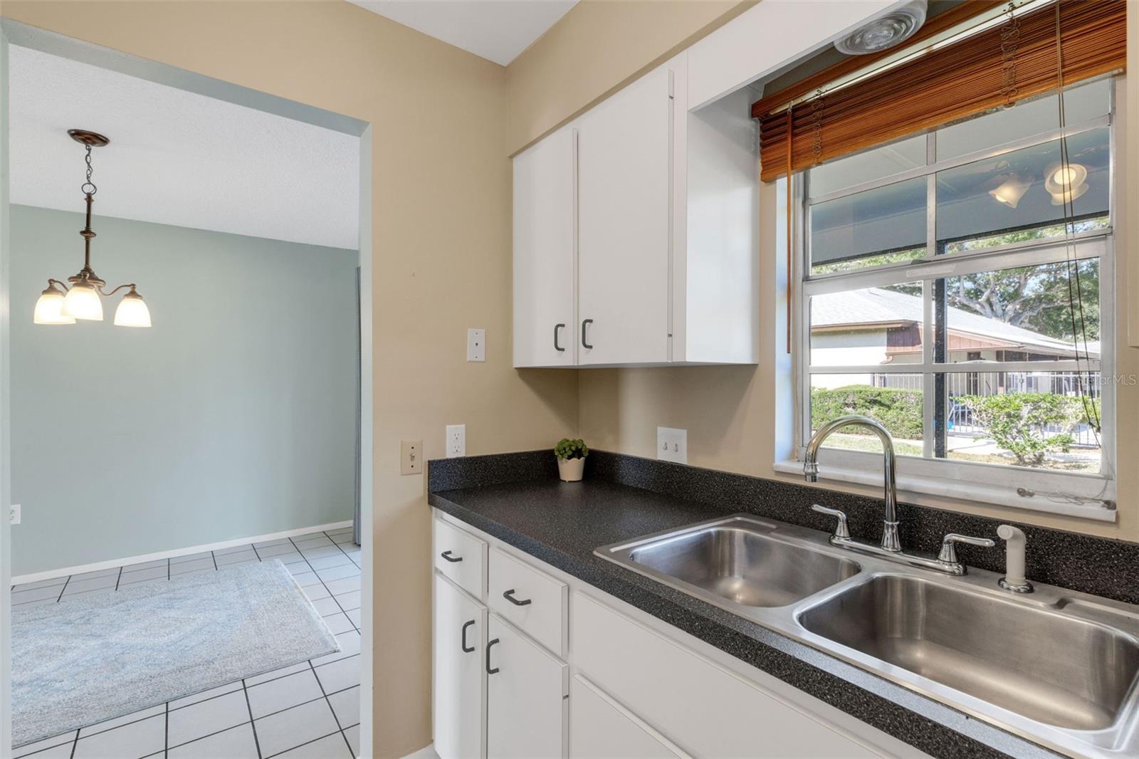 WOODSIDE VILLAGE CONDO - Residential