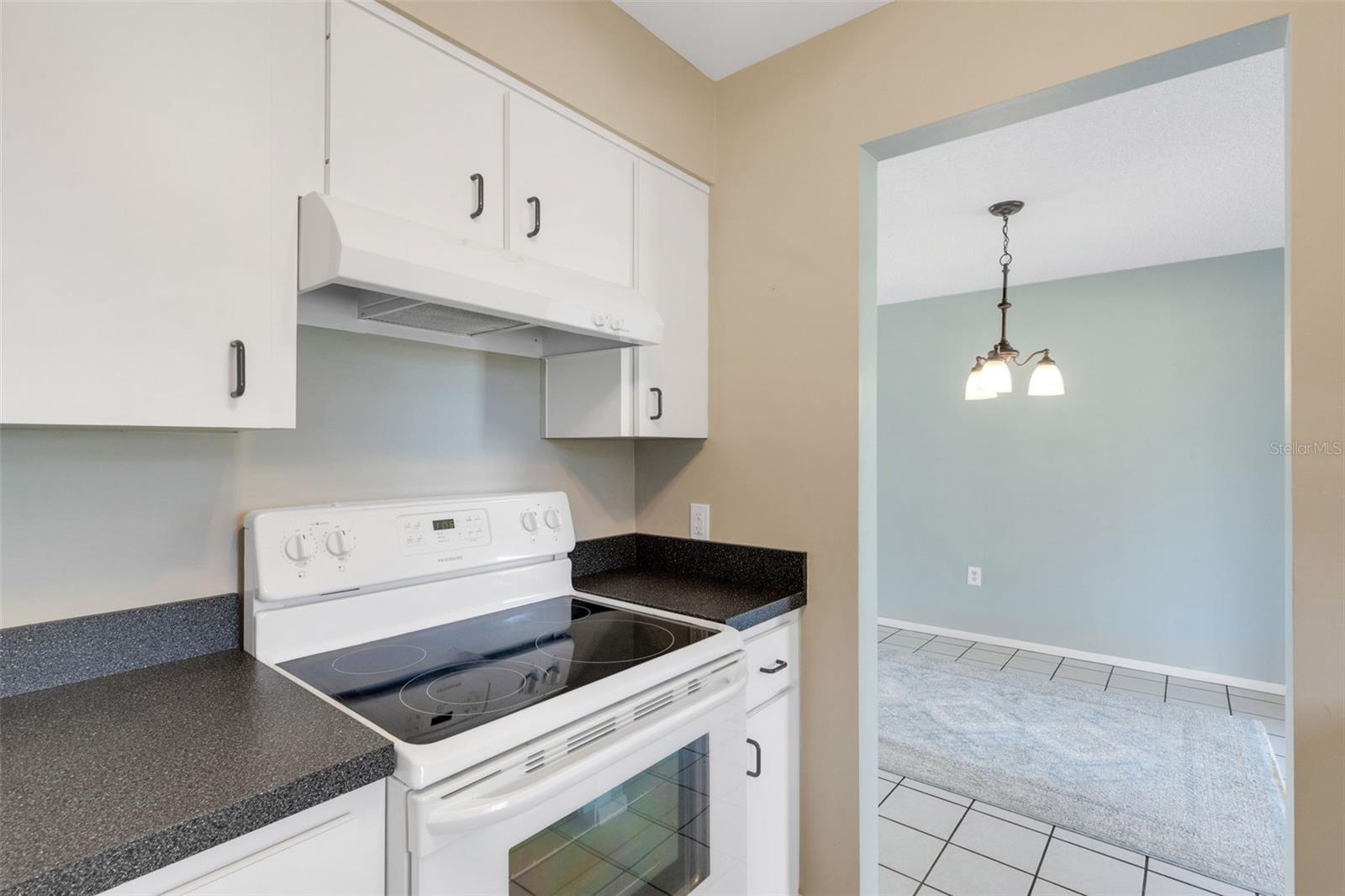 WOODSIDE VILLAGE CONDO - Residential