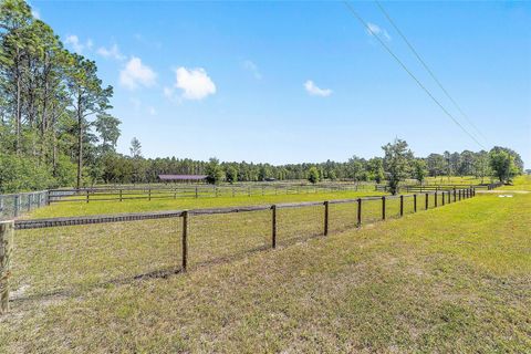 Tiny photo for 13531 SE 54th Street, Morriston, FL 32668 (MLS # OM723658)