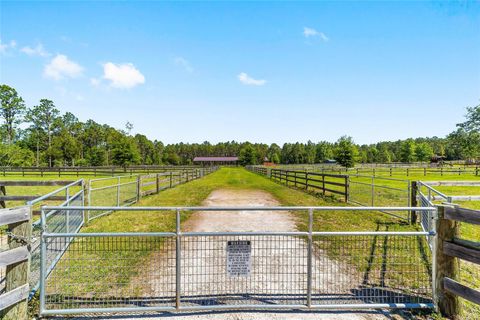 Tiny photo for 13531 SE 54th Street, Morriston, FL 32668 (MLS # OM723658)
