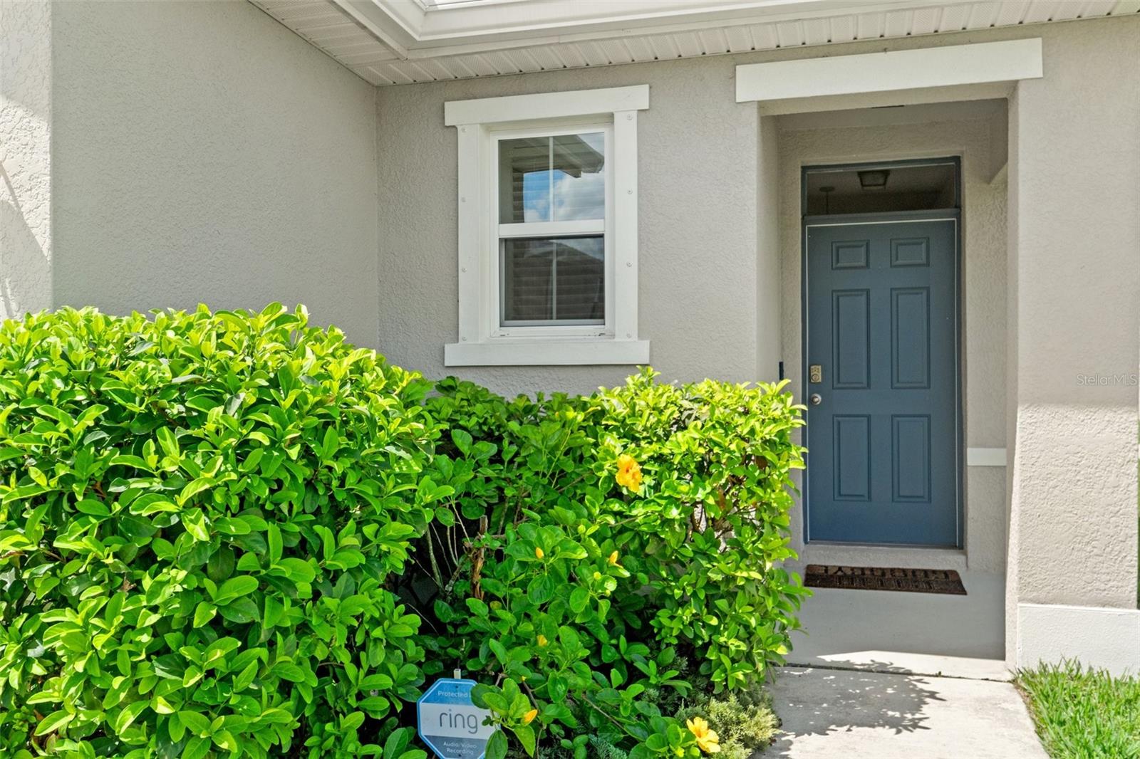 SOUTH BRANCH PRESERVE 1 - Residential