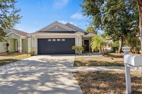 Photo of 11211 Placid Lake Court, Riverview, FL 33569 (MLS # TB8443648)