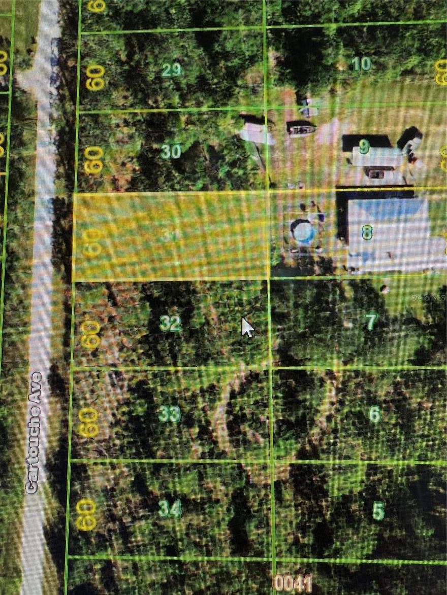 EXCEPTIONAL VALUE! One of 3 Lots. Seize the opportunity to build your ideal home on this spacious lot, located in the tranquil community of Punta Gorda. This desirable lot offers ample space for both a generously sized residence and lush outdoor living areas. Enjoy the peace of mind that comes with living in a quiet neighborhood, while still benefiting from easy access to local amenities such as shopping centers, fine dining, and recreational spots. Whether you are looking to create a personal haven or make a sound investment, this lot provides the perfect canvas for realizing your dreams. Discover the potential of this prime piece of property and envision the endless possibilities! This is one of 3 lots available in beautiful Tropical Gulf Acres. Owner will not sell individually.
Seller is selling lot as a package deal.
 Lots 31- A4653494  Lot 32 - A4653503 Lot 33 - A4653507