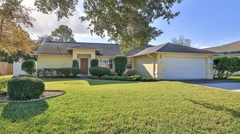 A home in PALM COAST