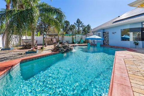 A home in PALM COAST