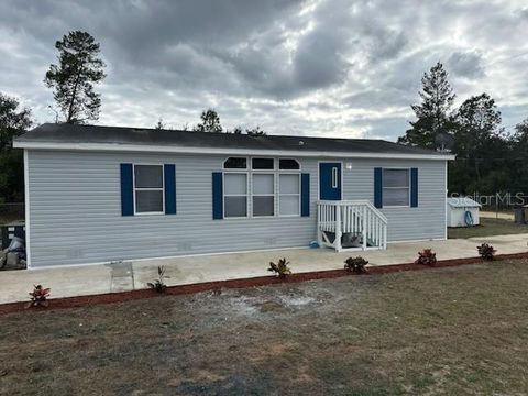 Photo of 45716 Palmetto Street, Paisley, FL 32767 (MLS # R4910453)