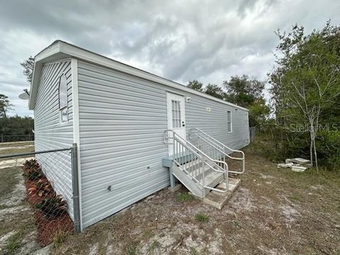 Tiny photo for 45716 Palmetto Street, Paisley, FL 32767 (MLS # R4910453)