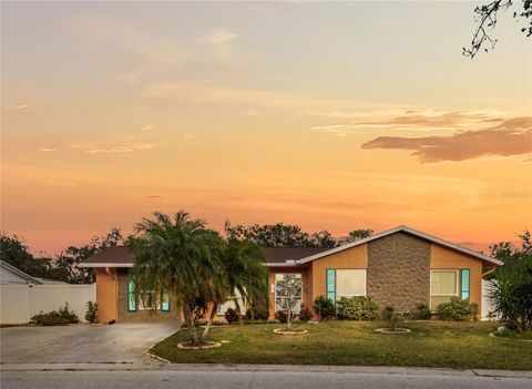 Photo of 4880 Shell Stream Boulevard, New Port Richey, FL 34652 (MLS # TB8443570)