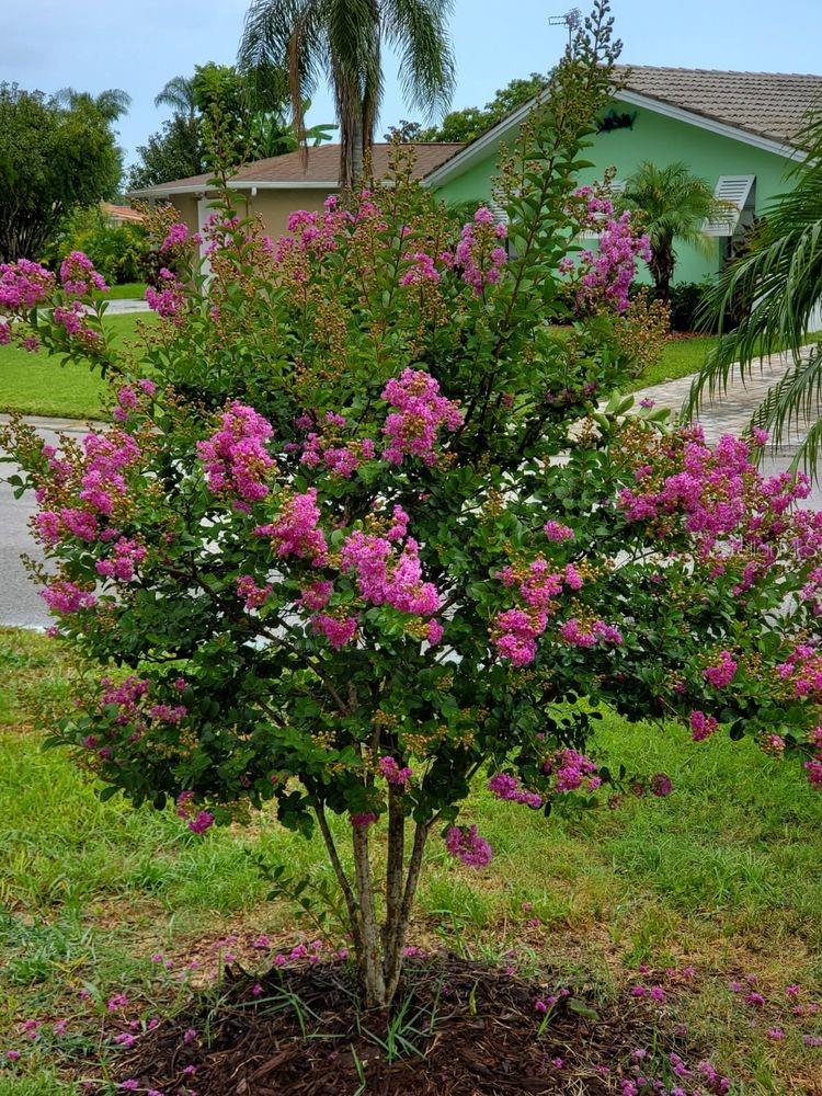 FLOR A MAR - Residential