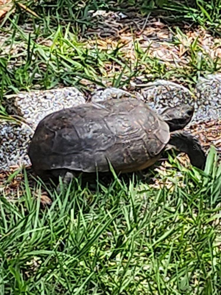 FLOR A MAR - Residential