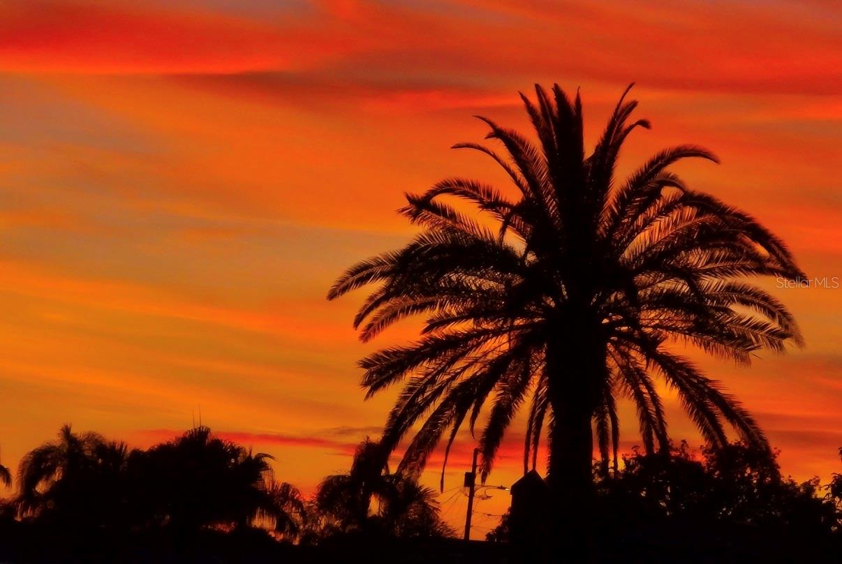 FLOR A MAR - Residential