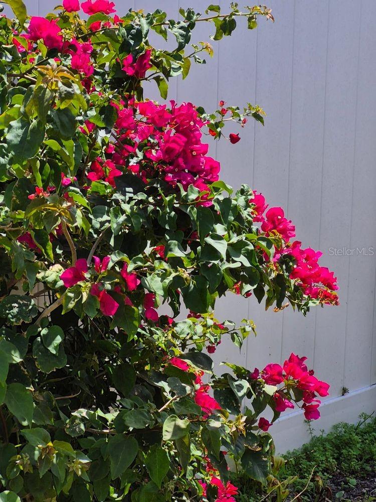 FLOR A MAR - Residential