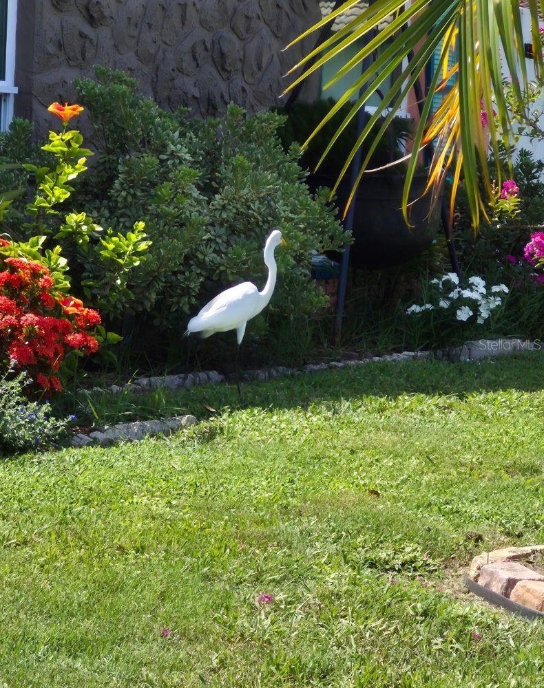 FLOR A MAR - Residential