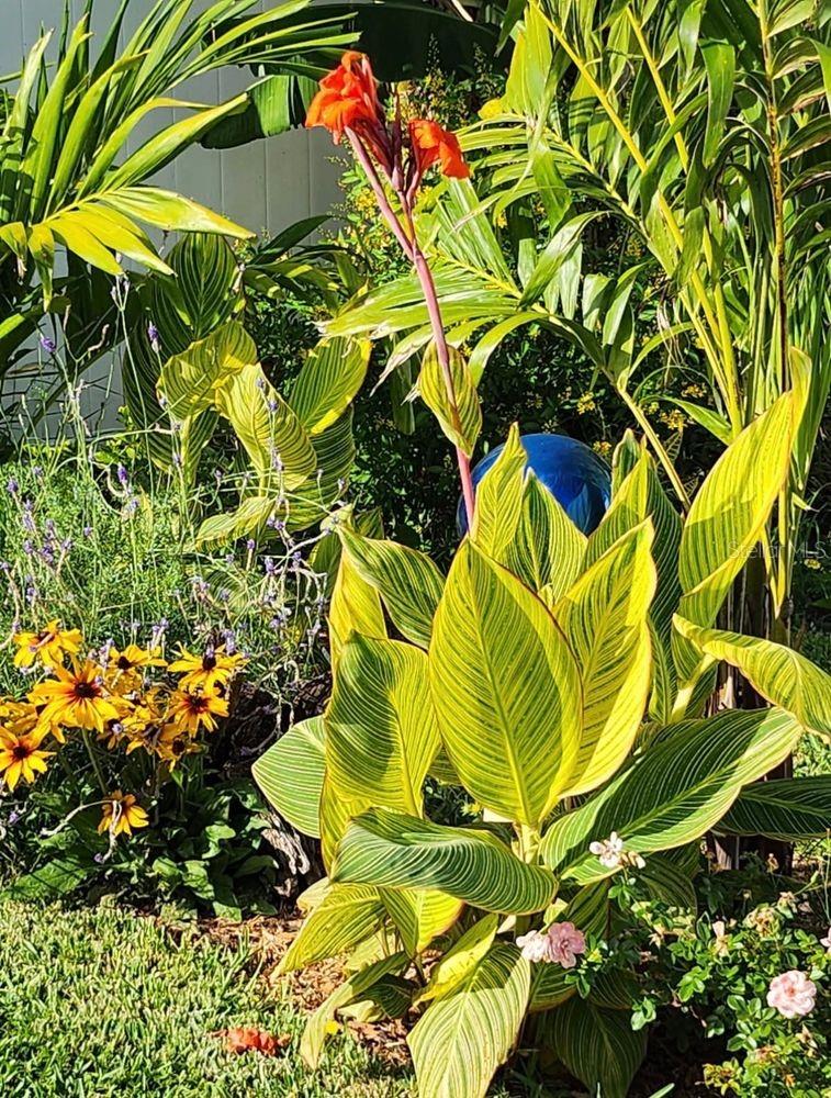 FLOR A MAR - Residential