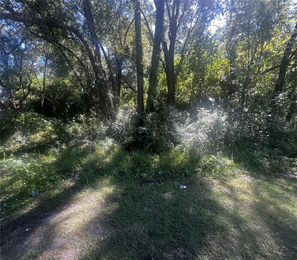 Photo of NW 2nd Street, Ocala, FL 34475 (MLS # OM711417)