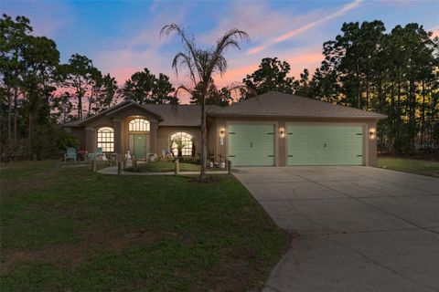 Photo of 46 Fringetree Street, Homosassa, FL 34446 (MLS # TB8489137)