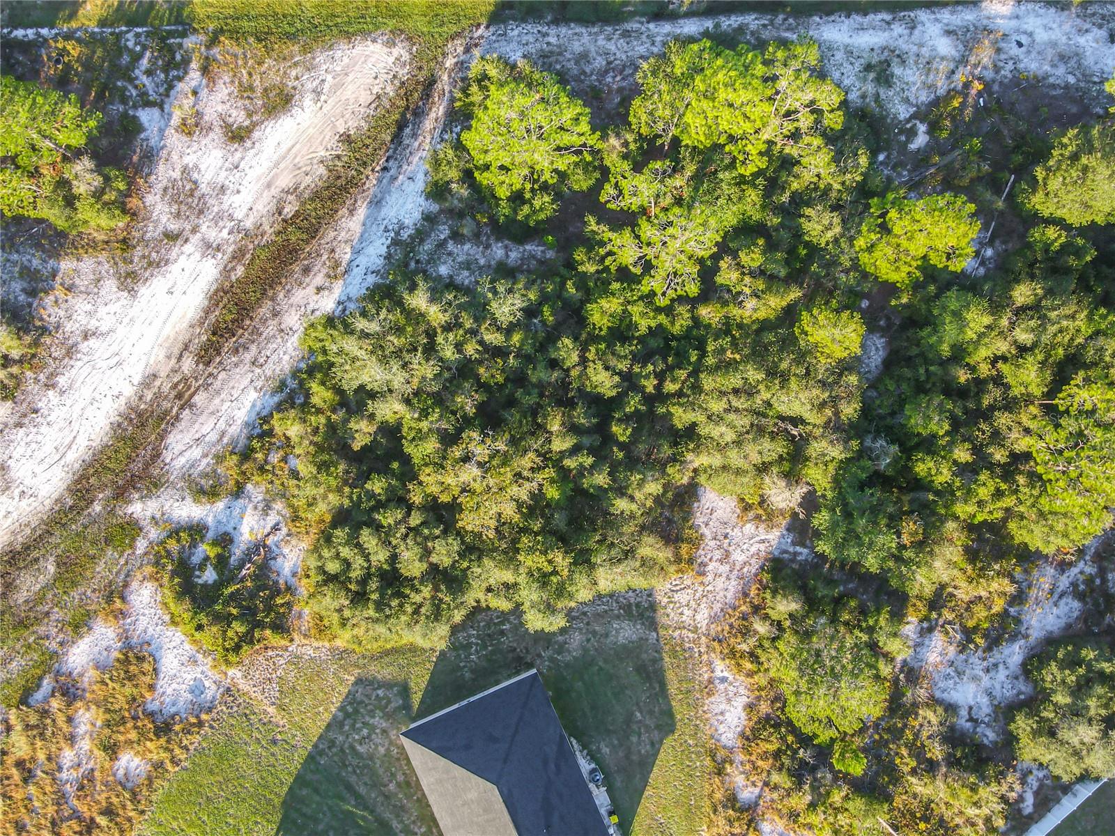 POINCIANA NBRHD 02 WEST VILLAGE 07 - Land