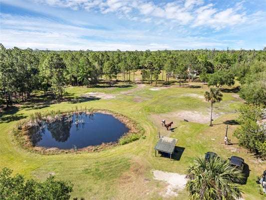 2321 WACCASSA ST, GENEVA, FL 32732 - Image 92e5ad2e545bd2fb6824847a9fab0cd5/3351848040
