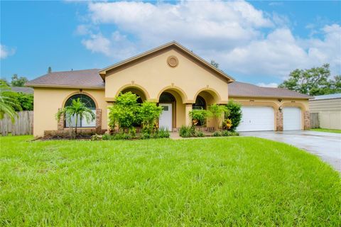 A home in VALRICO