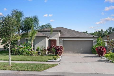 11303 MISTY MOSS DRIVE WIMAUMA FL 33598