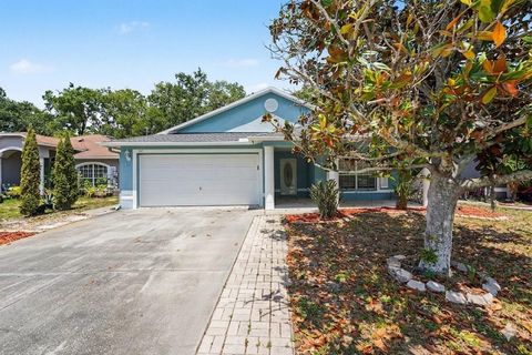 Photo of 447 Dixie Highway, Tarpon Springs, FL 34689 (MLS # O6401559)