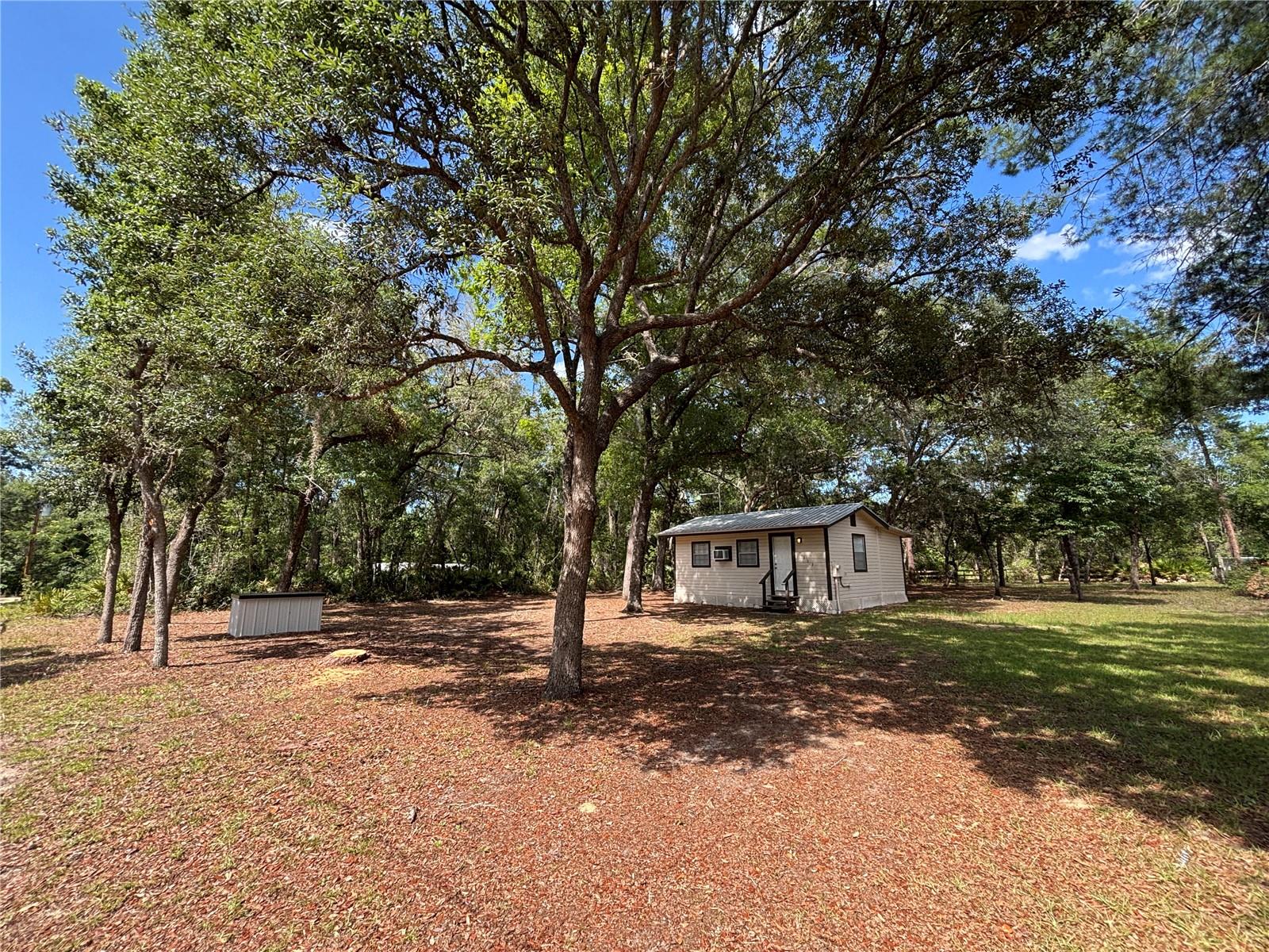 OLD BUCK - Residential