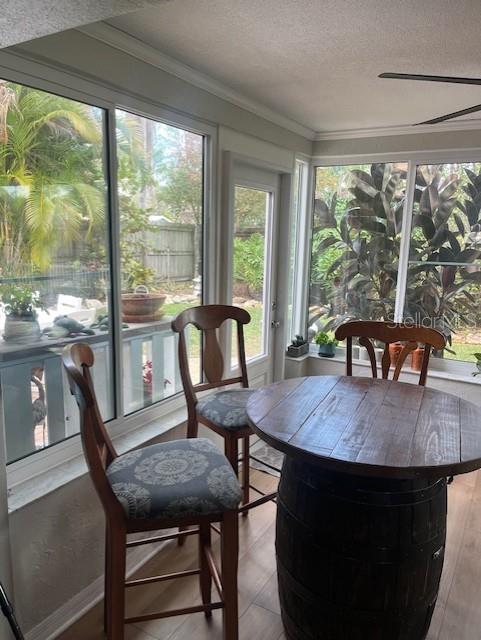 PATTY ANN ACRES - Residential