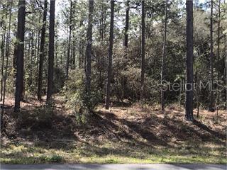 Perfect location in popular Oak Hill Subdivision! Build your dream home on this beautiful, wooded (1.07 acre) lot. Deed restrictions allow for builder of your choice with minimum of 1800 sq ft. home. Conveniently located on West Hwy 44 close to I-75 and the Florida turnpike. Lot pricing based on current market and activity in Oak Hill. Go to lot located on CR 243C...sign on property.