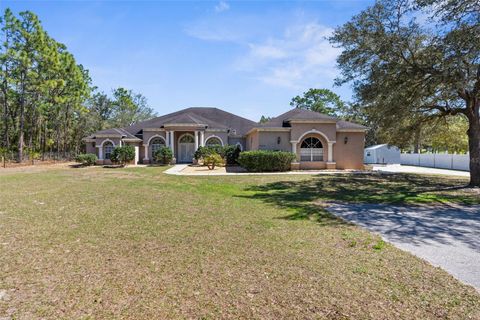 Photo of 14258 Mulkerin Drive, Weeki Wachee, FL 34614 (MLS # W7884462)