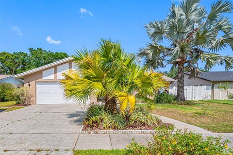 A home in TAMPA