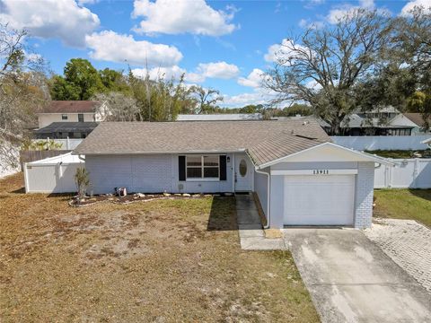 13911 PATHFINDER DRIVE TAMPA FL 33625