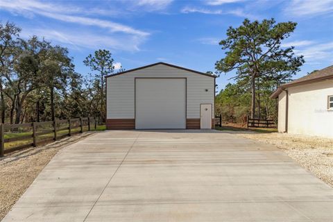 Tiny photo for 3076 N Stirrup Drive, Beverly Hills, FL 34465 (MLS # W7881590)