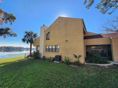 Photo of 3402 Ellenwood Lane, Tampa, FL 33618 (MLS # O6403778)