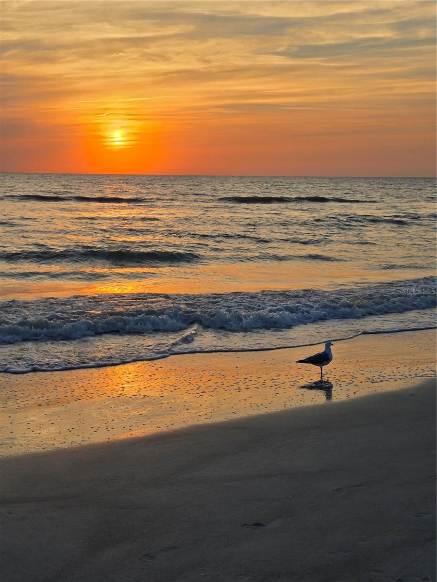 PAGES REP OF MITCHELLS BEACH - Residential Income