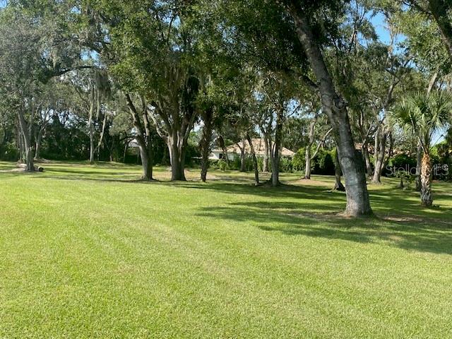 Rarely available acre lot in this small exclusive neighborhood with properties located on acre lots. Very private, yet close to University Mall, shopping, supporting services, airport, I-75. This is the last vacant lot available in this neighborhood. Build your dream home on this large lot, within the large oak trees and beautiful view of the pond.